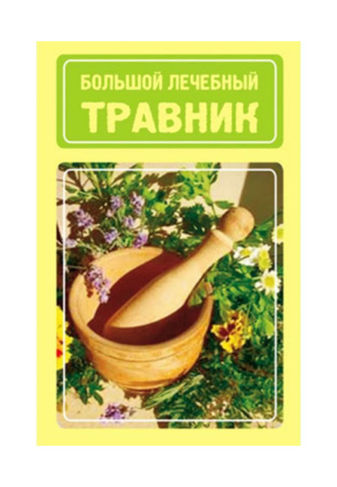 Книга Большой лечебный травник