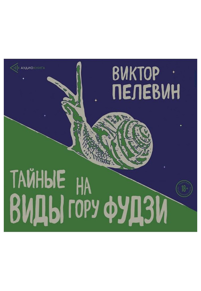 Книга Таємні види на гору Фудзі