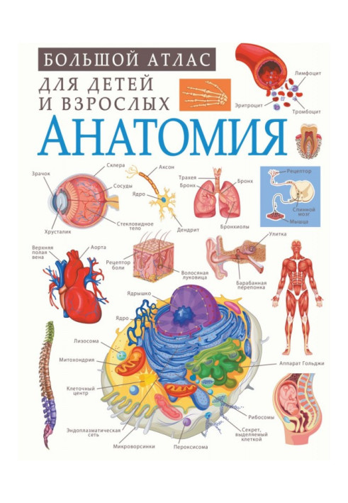 Book Anatomy
