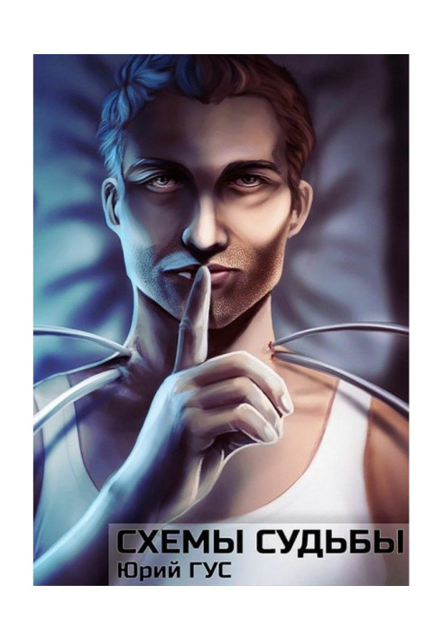 Книга Схемы судьбы