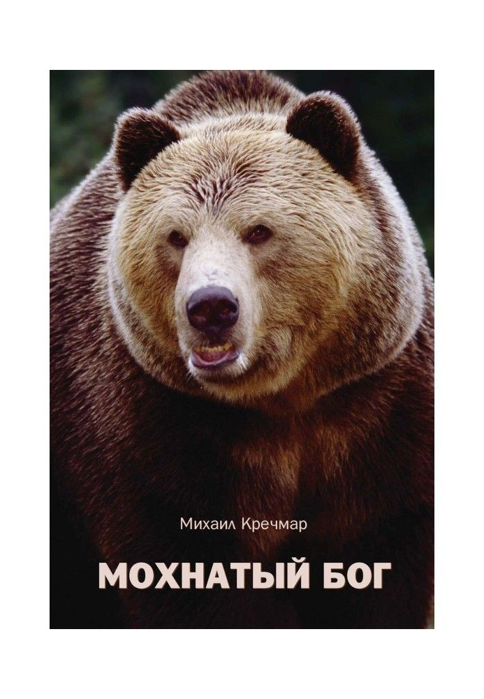 Книга Волохатий бог