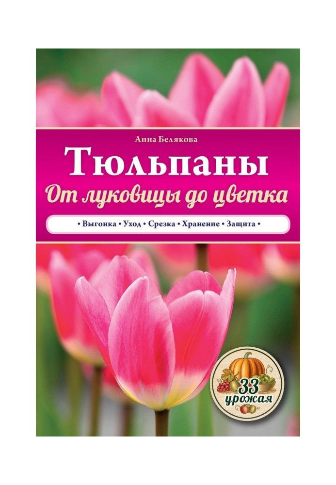 Book Tulips. From bulb to flower