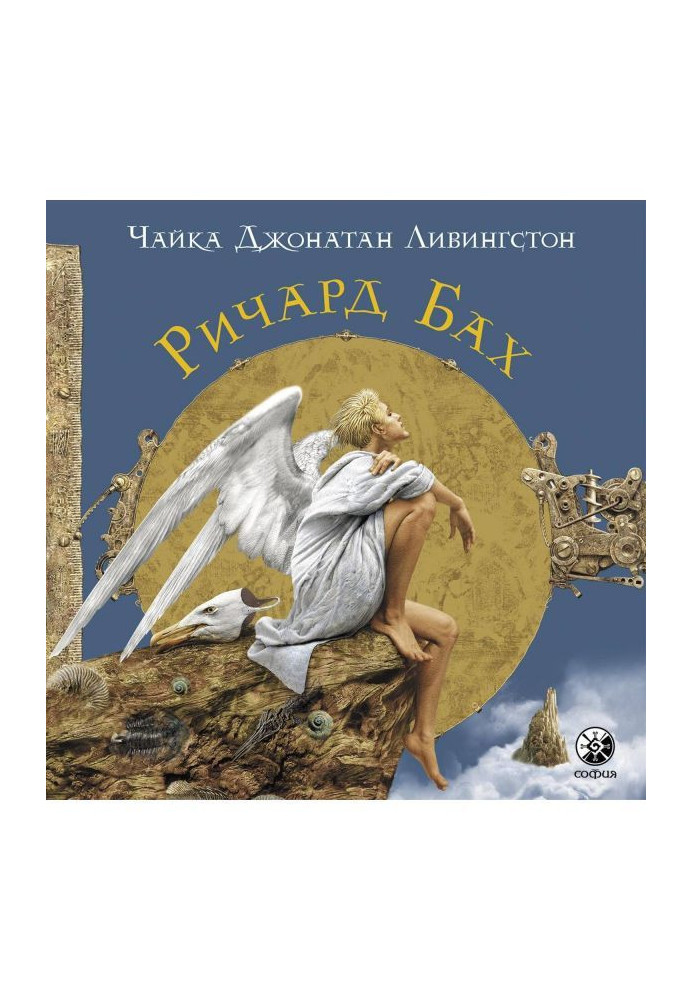 Book Seagull Jonathan Livingston