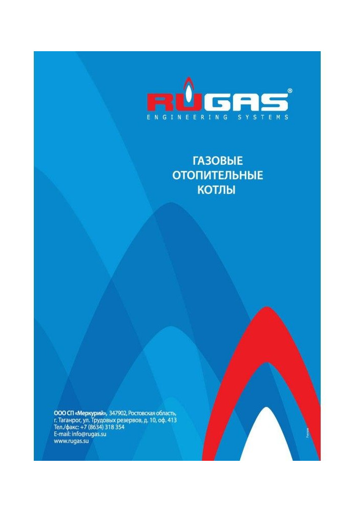 Book Domestic heating boilers