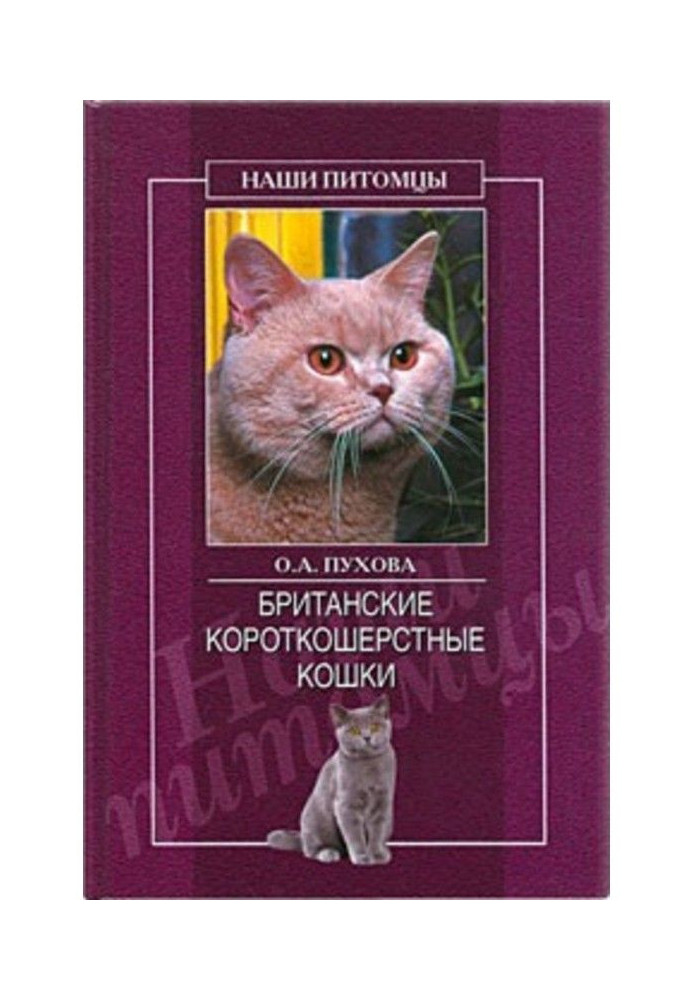 Book British flat-coated lady-cats