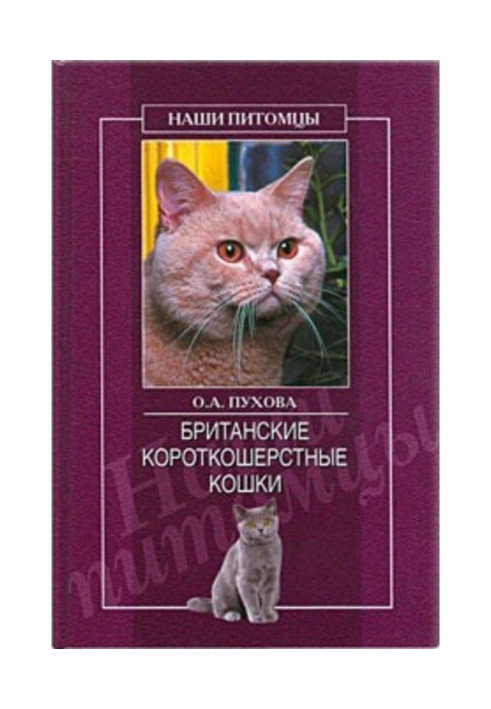 Book British flat-coated lady-cats