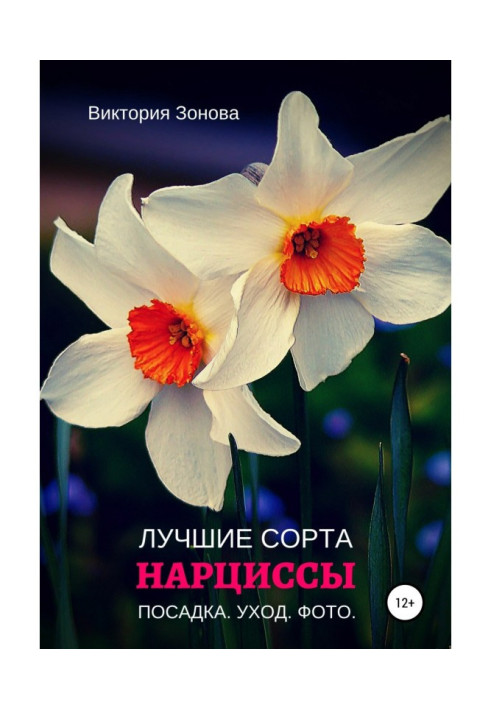 Book Narcissuses. The best sorts