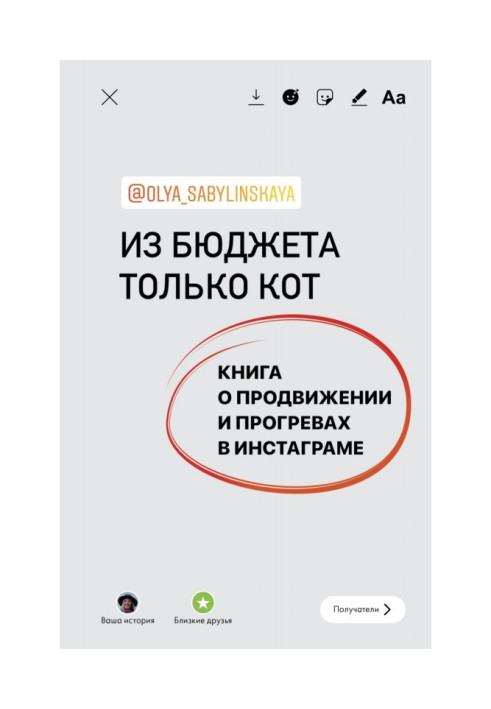 Книга Из бюджета только кот. Книга о продвижении и прогревах в инстаграме