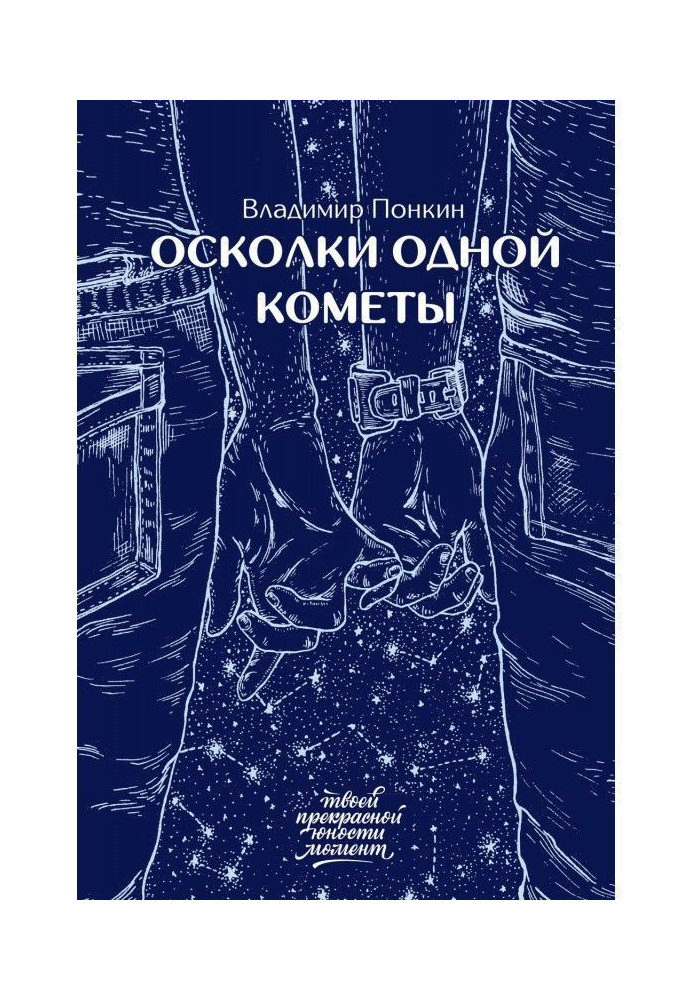 Книга Осколки одной кометы