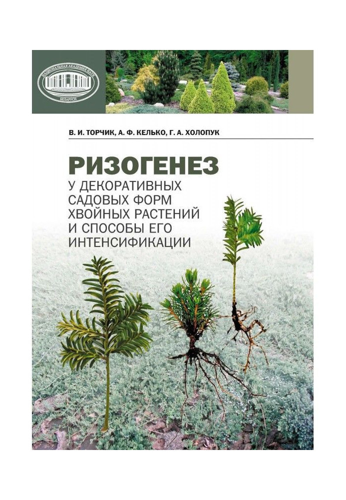 Book Ризогенез at the decorative garden forms of coniferous plants and methods of his intensification