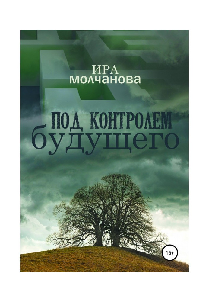 Book Under the control of the future