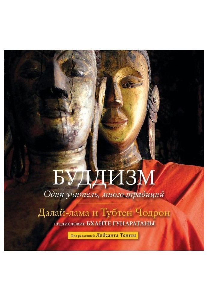 Книга Буддизм. Один учитель, много традиций