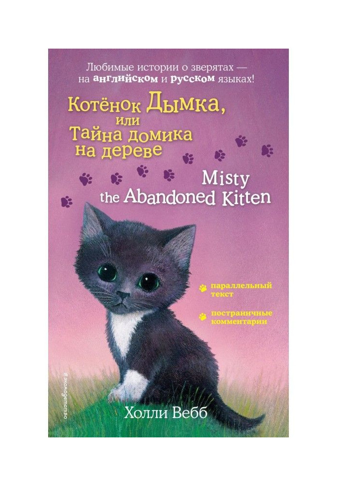 Book Kitten Haze, or the Secret of the treehouse / Misty the Abandoned Kitten