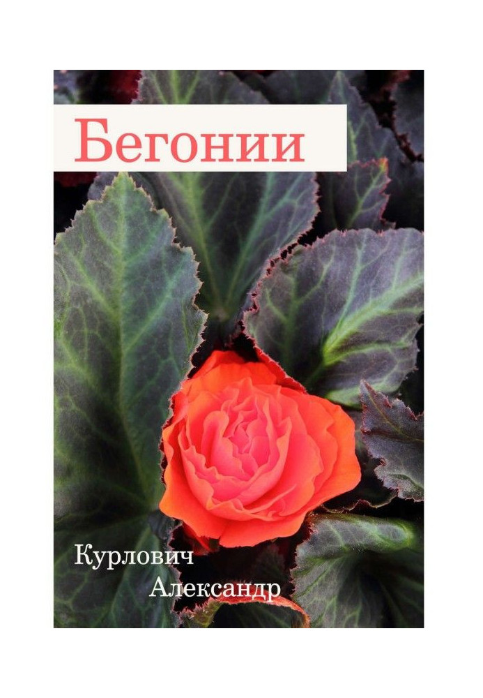 Book Begonias