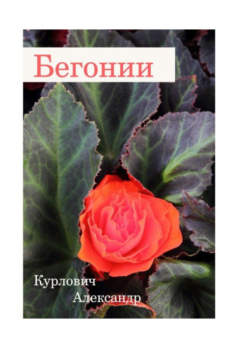 Book Begonias
