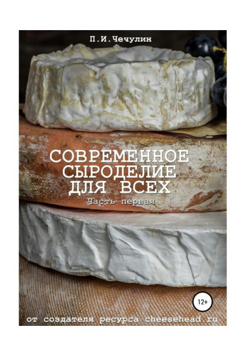 Книга Современное сыроделие для всех