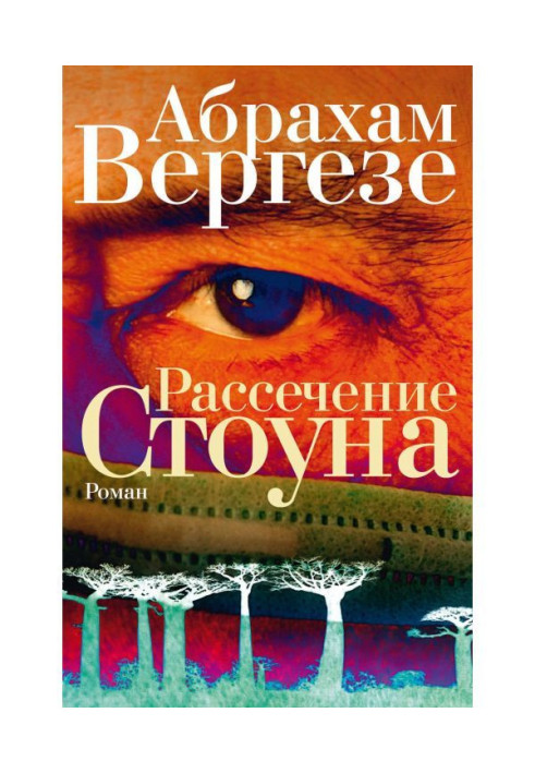Книга Розтин Стоуна