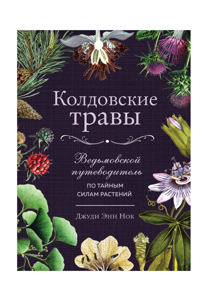 Book Bewitching herbares. By a witch guide-book on secret forces of plants