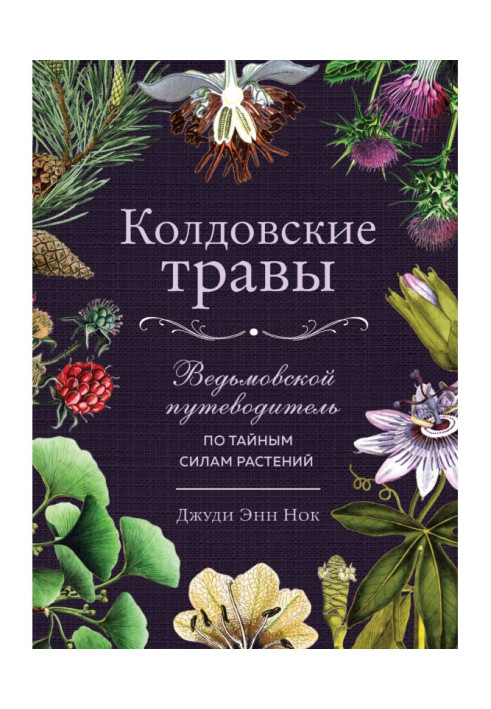 Book Bewitching herbares. By a witch guide-book on secret forces of plants
