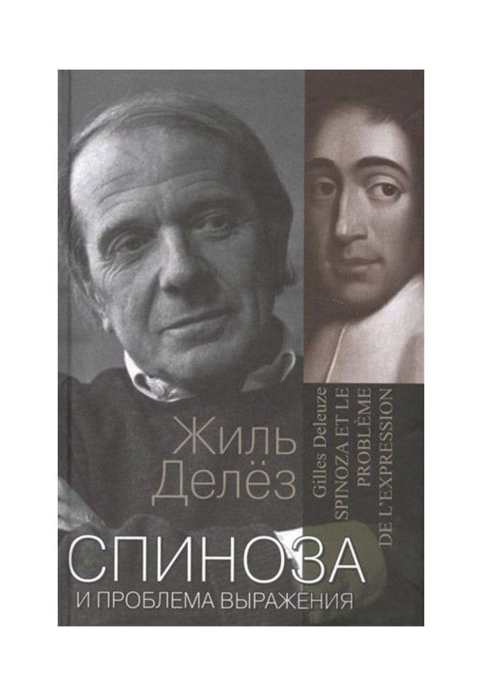 Book Spinoza and the problem of expression