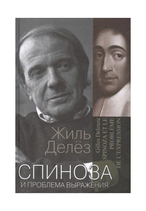 Book Spinoza and the problem of expression