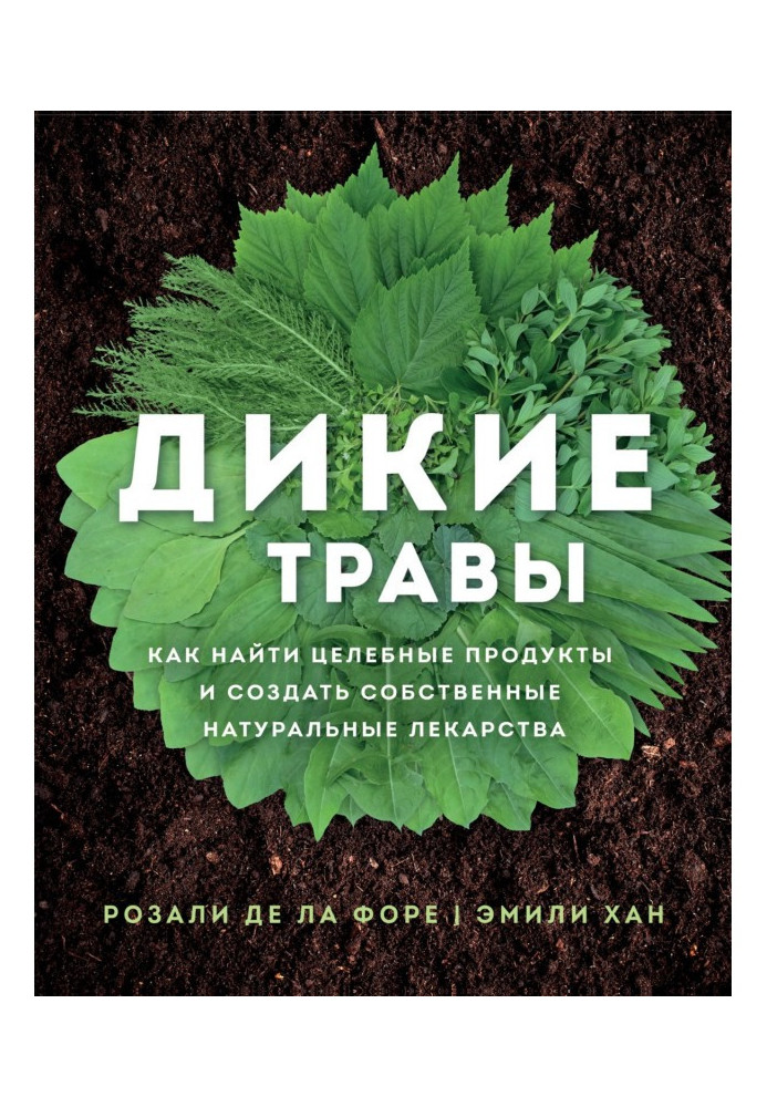 Book wild herbs. How to Find Healing Foods and Create Your Own Natural Medicines