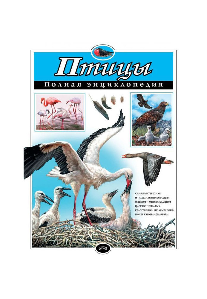 Book Birds. Complete encyclopaedia