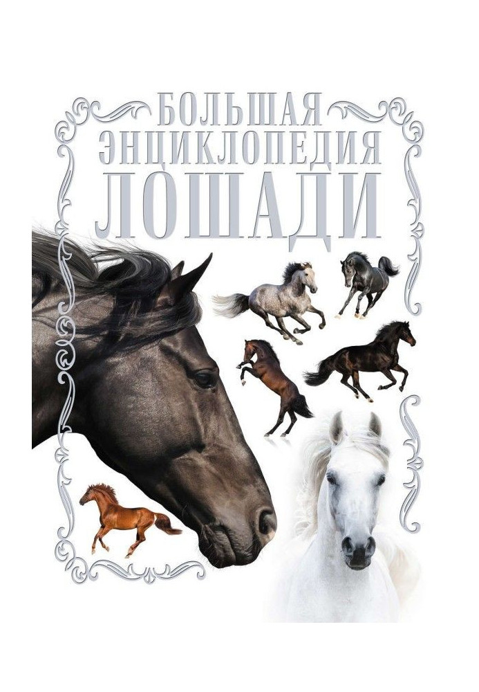 Книга Коні. Велика енциклопедія