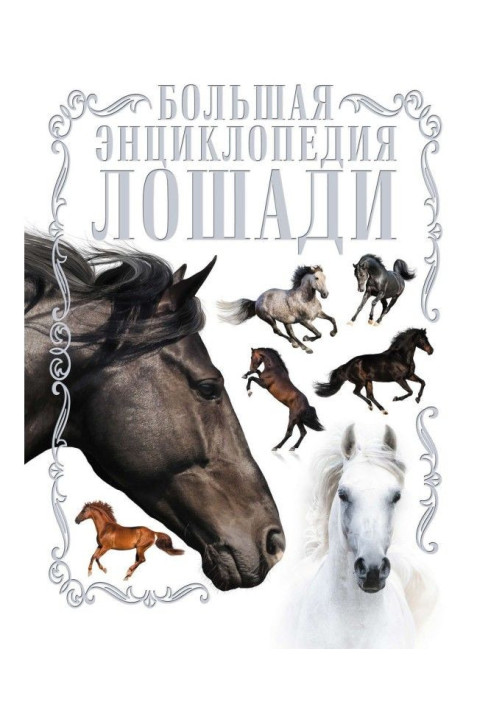 Книга Коні. Велика енциклопедія