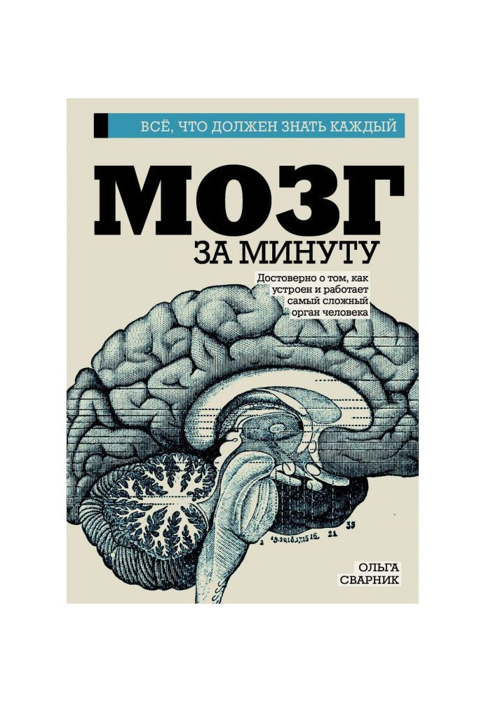 Book Brain for a minute