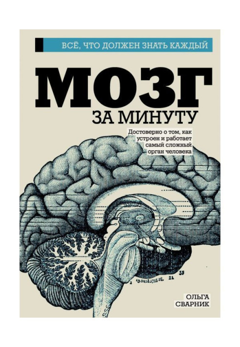 Книга Мозок за хвилину