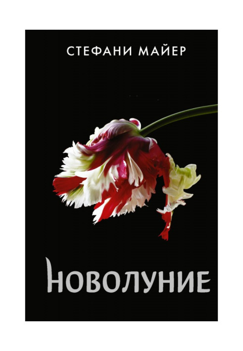 Book New moon