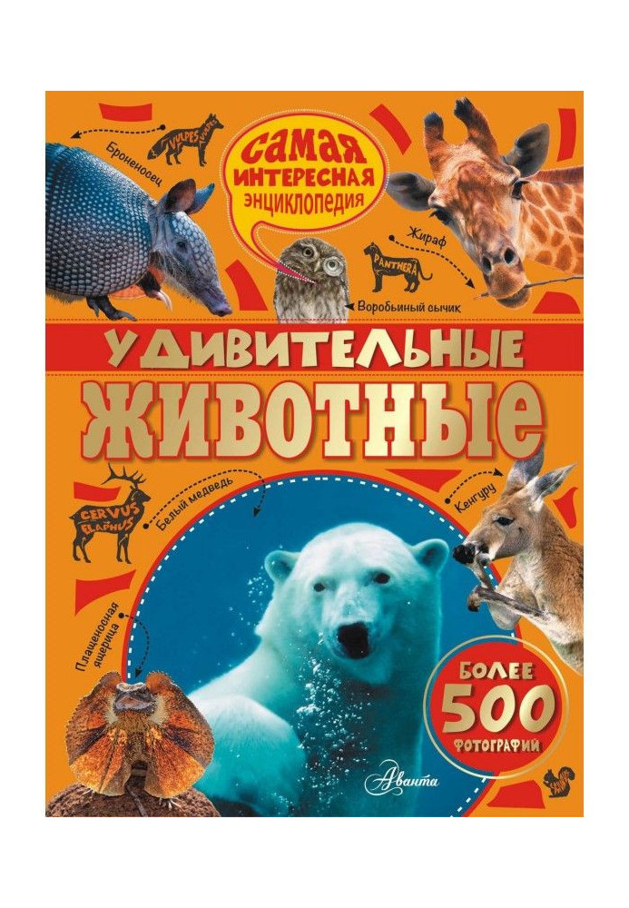 Книга Удивительные животные