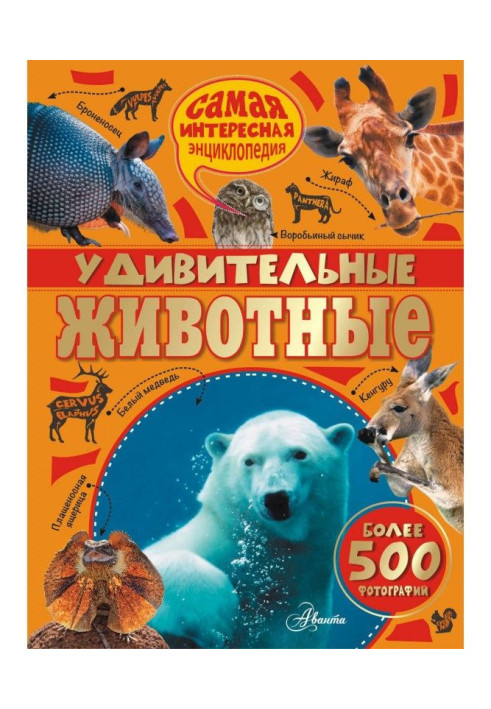 Книга Удивительные животные
