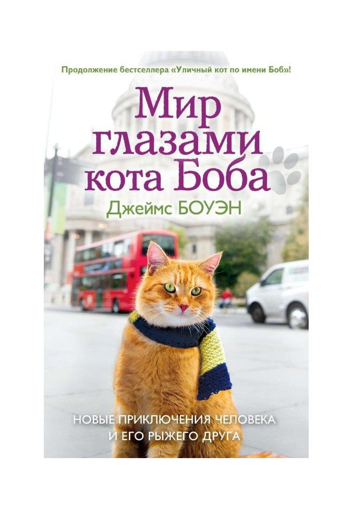 Book World by the eyes of cat Bob. New adventures of man and his red friend