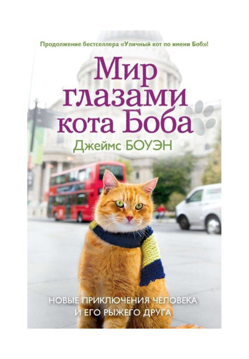 Book World by the eyes of cat Bob. New adventures of man and his red friend