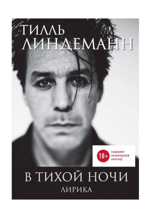 Книга В тихой ночи. Лирика