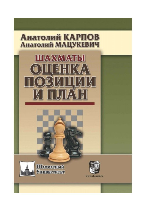 Книга Шахматы. Оценка позиции и план