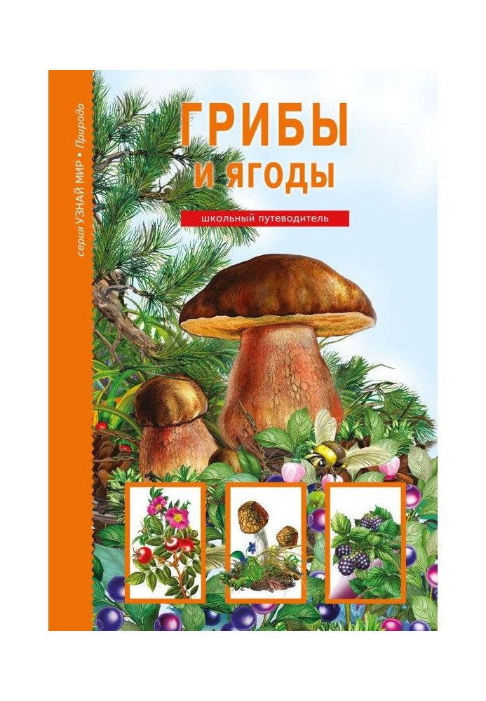 Книга Грибы и ягоды