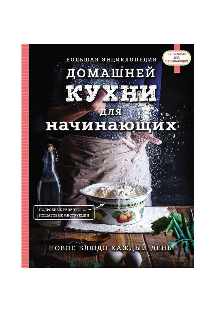 Book Large encyclopaedia of domestic kitchen for beginners