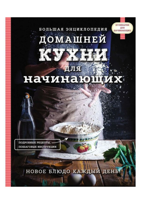 Book Large encyclopaedia of domestic kitchen for beginners