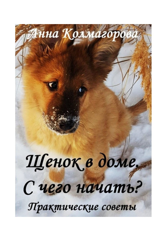 Книга Цуценя в будинку. З чого почати? Практичні поради