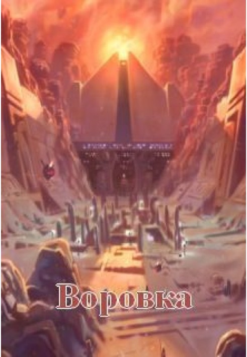 Книга Воровка
