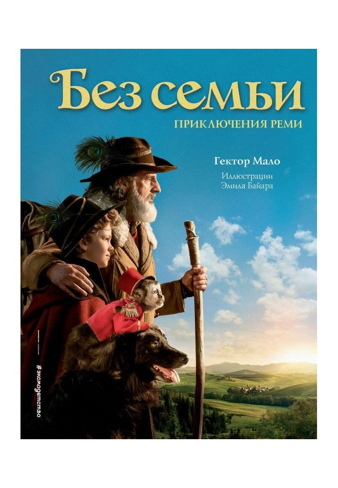 Book Without family. Adventures of Реми