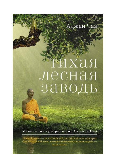 Book Quiet forest back-water. Meditation of recovery of sight from Аджана Чаа