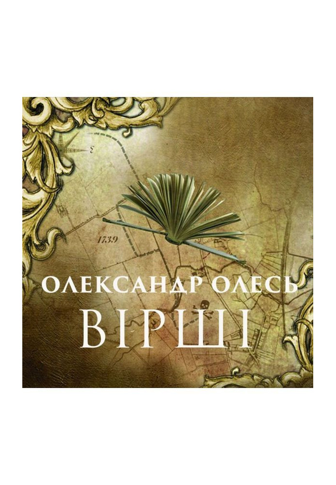 Книга ВІРШІ