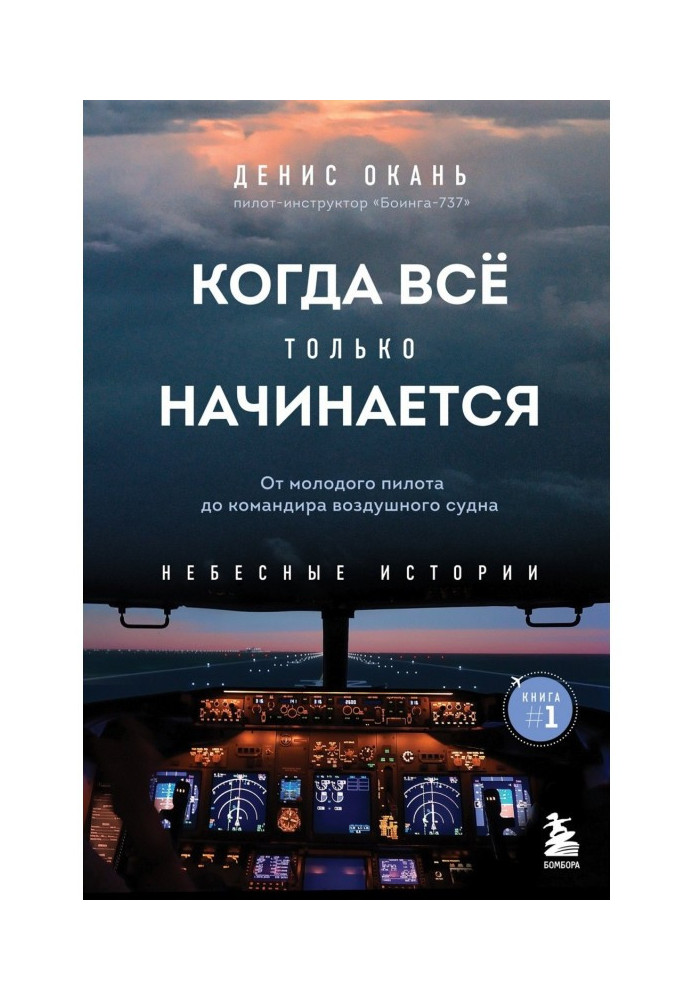 Book When everything is just beginning. Book 1. From a young pilot to an aircraft commander