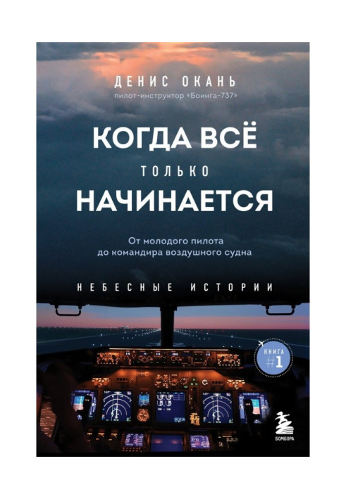 Book When everything is just beginning. Book 1. From a young pilot to an aircraft commander