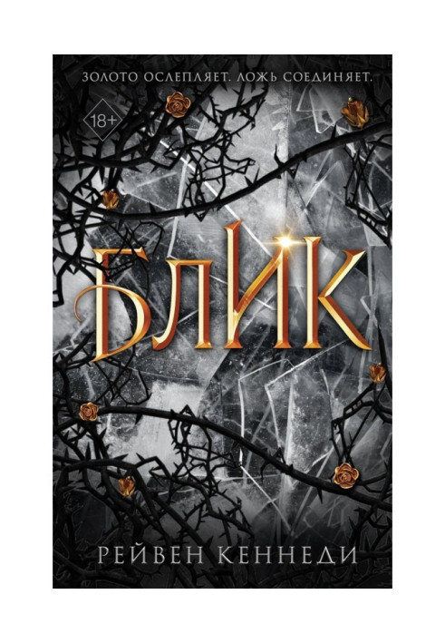 Book Flash