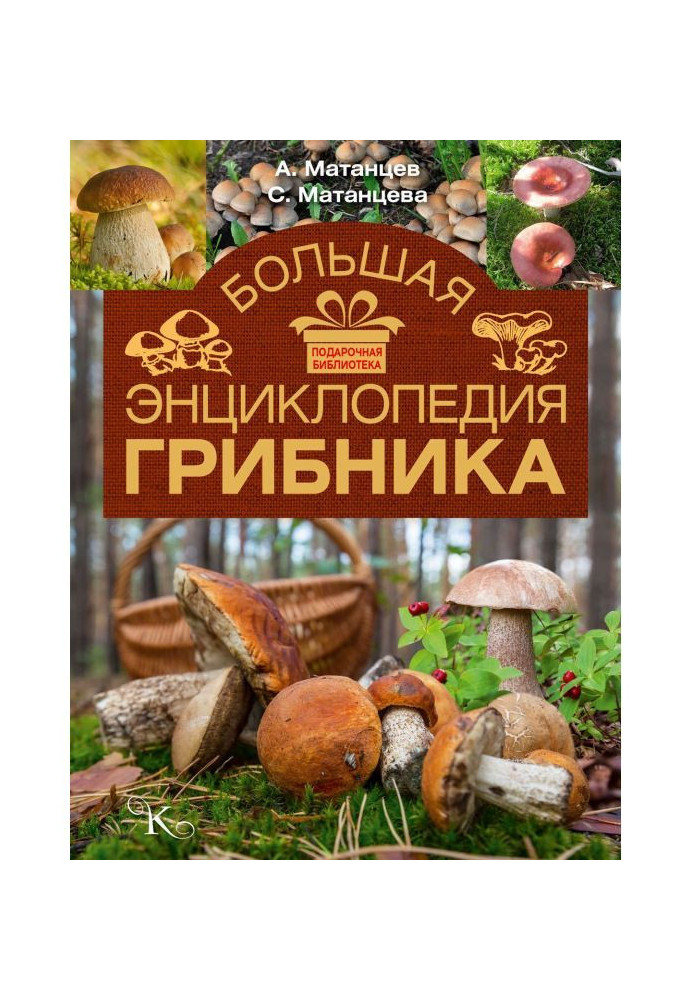 Книга Большая энциклопедия грибника